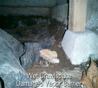 MSP Mold Inspection in Crawlspace