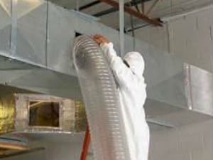 MSP Commercial Mold Remediator