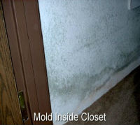 MSP Mold Inspection inside closet