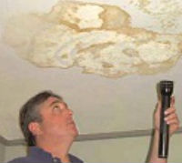 MSP Ceiling Mold Inspection