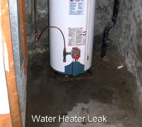 MSP mold from Water heater leak