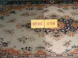 Master Service Pro Rug Cleaning Northbrook