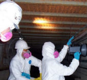 GreenSTAR Pro Commercial Mold Inspection