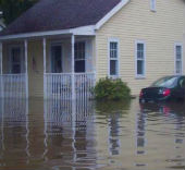 GreenSTAR Pro Water Damage