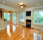 GreenSTAR Pro Hardwood Floor Cleaning