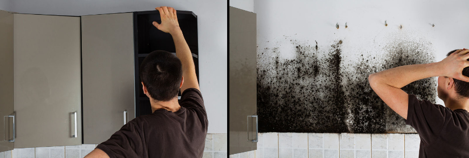 Crafting Captivating Headlines: Your awesome post title goes here Green Master Pro Mold Removal