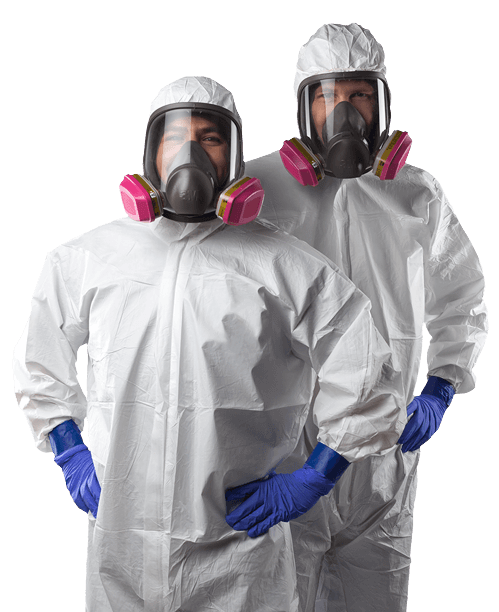 About Mold Removal MasterService 005