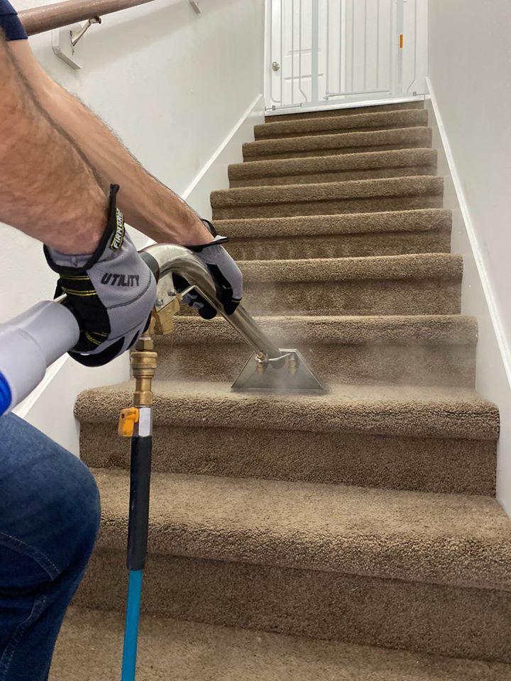 Green STar Master HomePro Carpet Cleaning Libertyville, IL 60048 Green STar Master HomePro Carpet Cleaning Libertyville, IL 60048