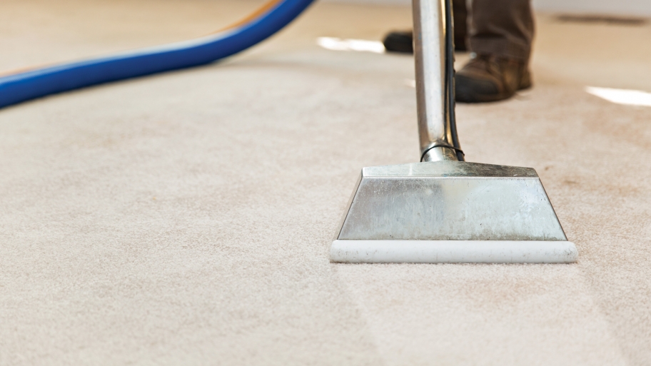 carpet cleaning msp 004 GreenStar Master Home Pro Service Carpet Cleaning Libertyville, IL 60048