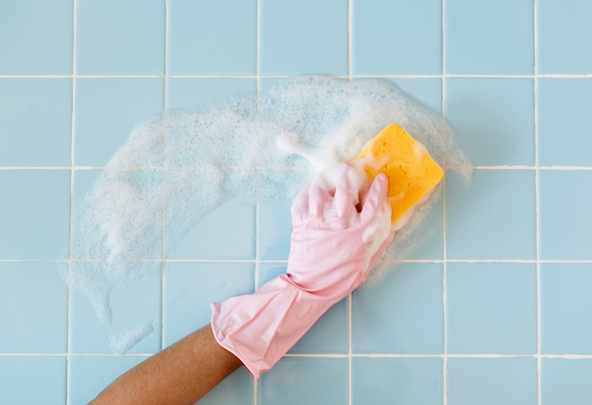 bathroom mold removal