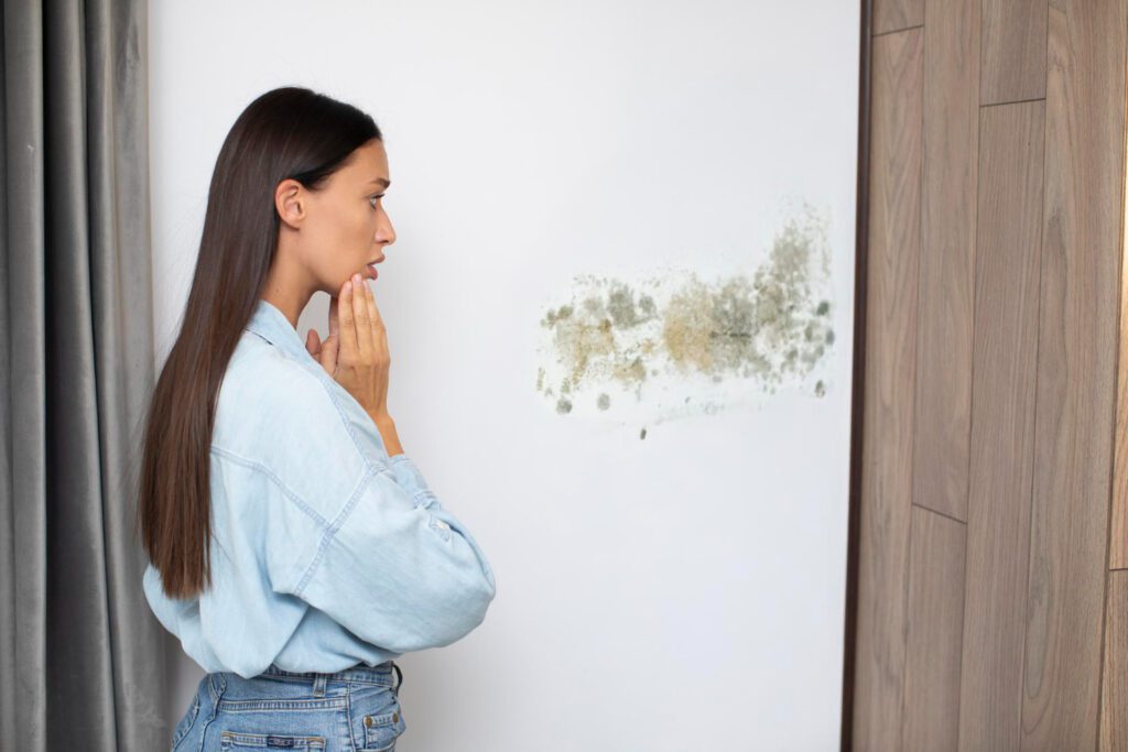 mold removal