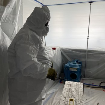 Green Master Pro Black Mold Removal Skokie, Niles, Morton Grove