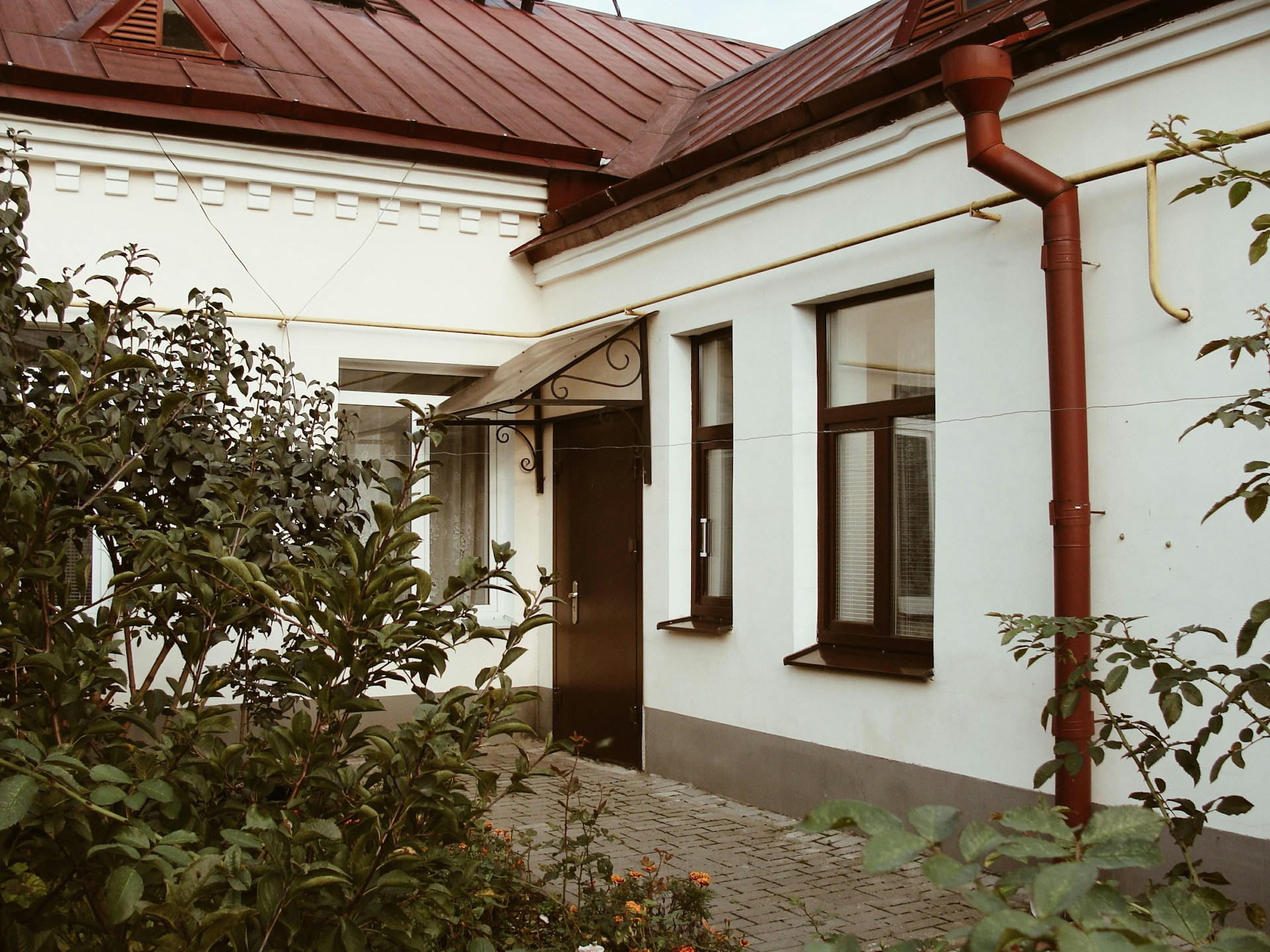 mold risk in old homes