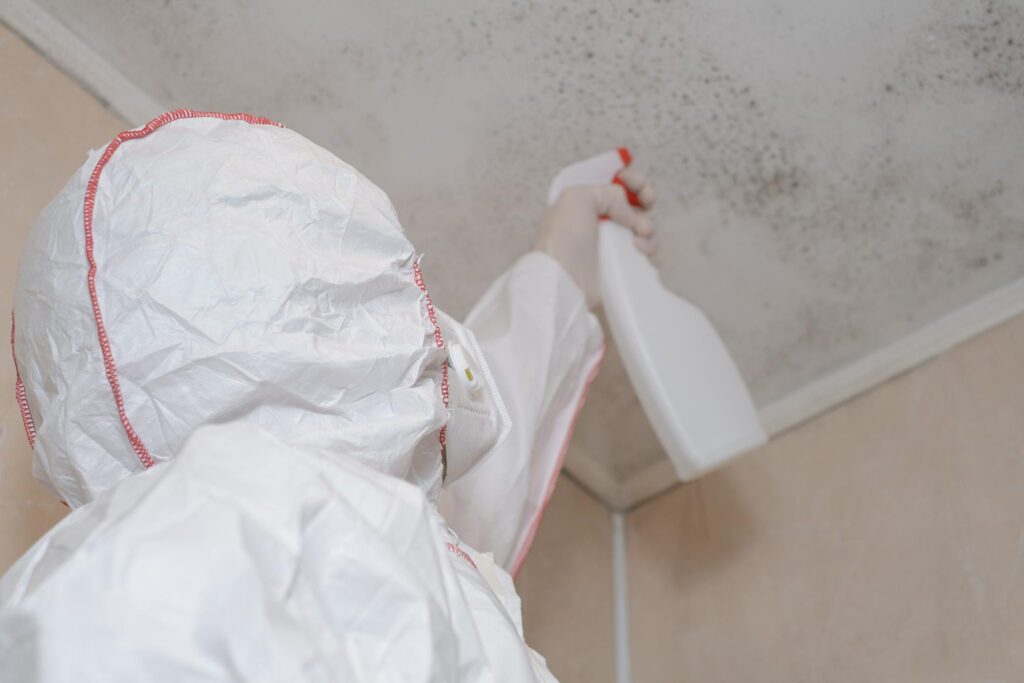 Mold Removal