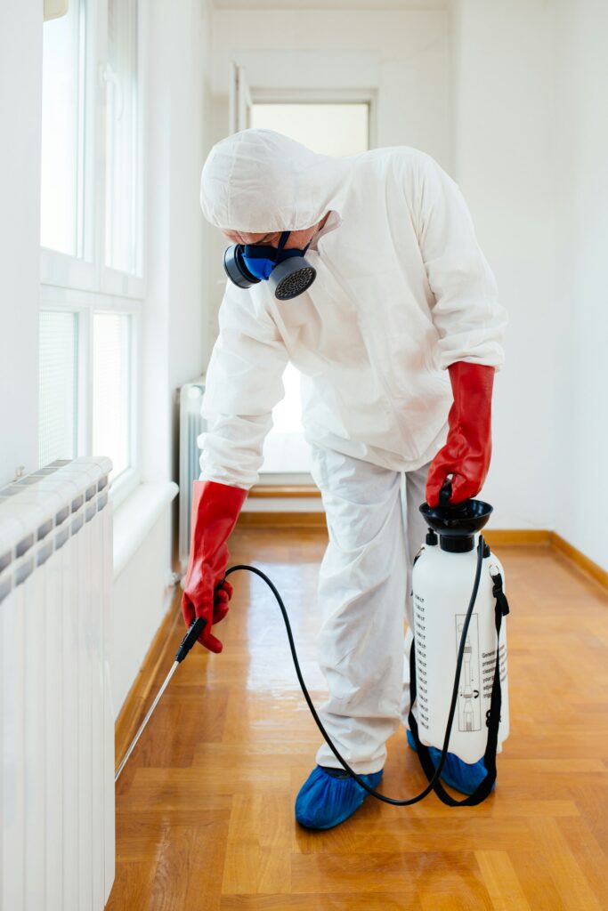 Mold Remediation 