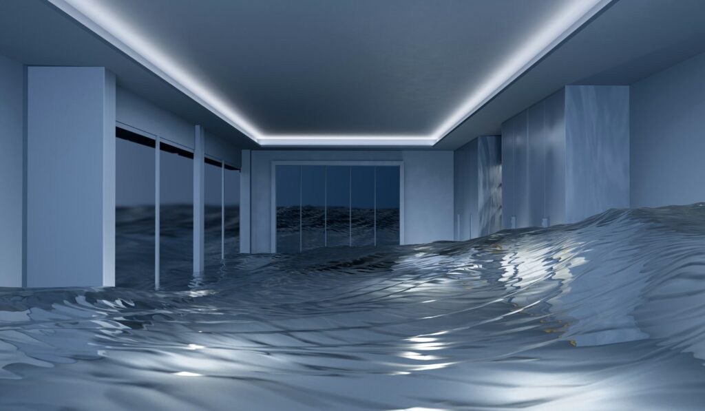 Flooded Basement
