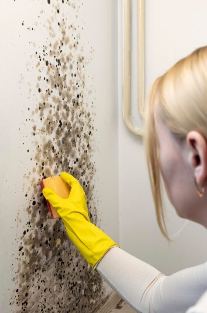 mold
