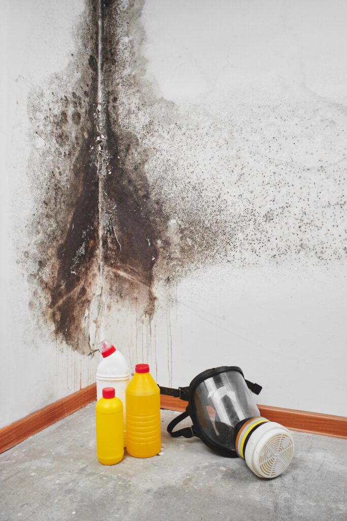 mold removal