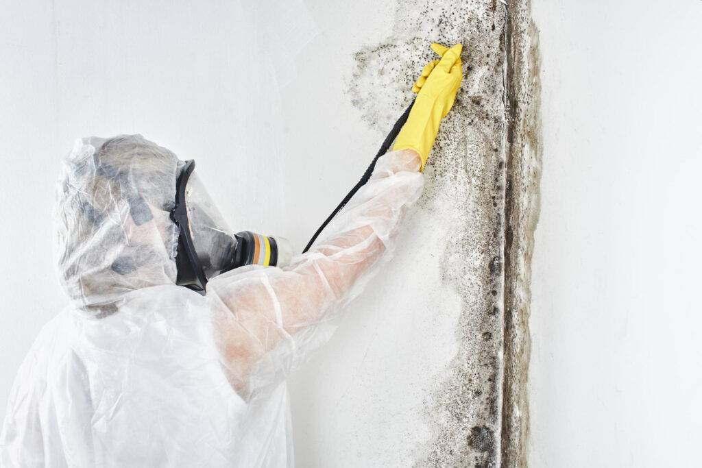 mold inspection
